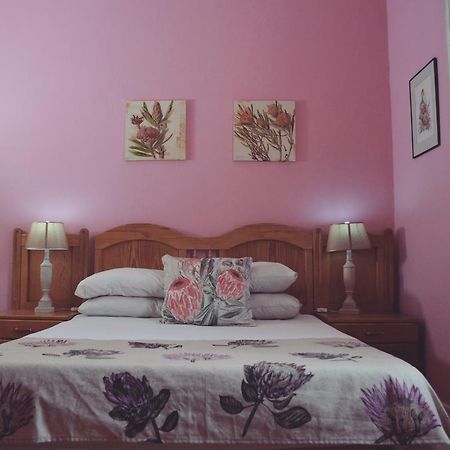Homebase Melville Backpackers Joanesburgo Exterior foto